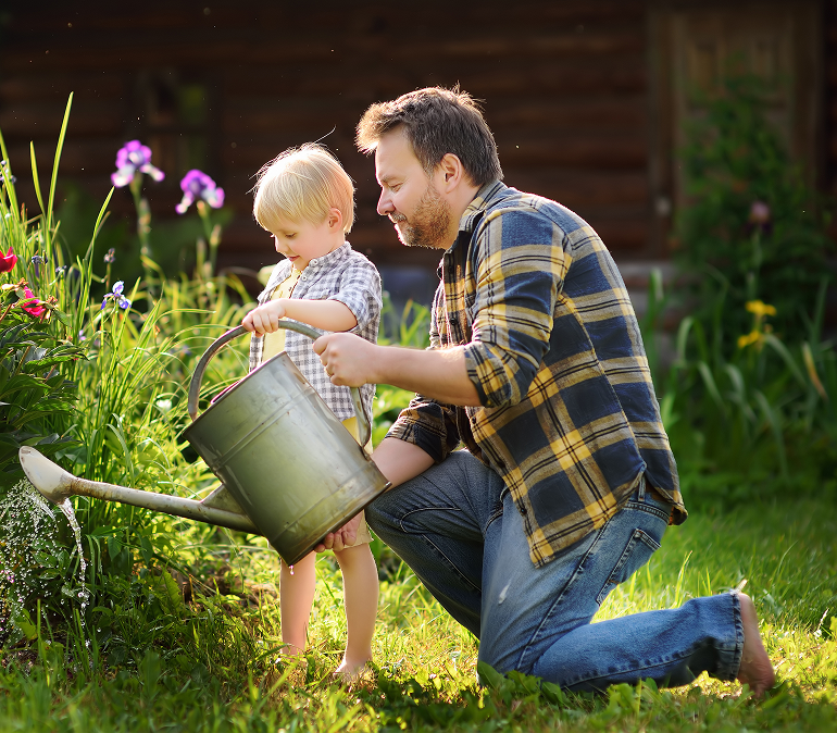 Father and young child watering garden plants and flowers in the spring with a silver watering can