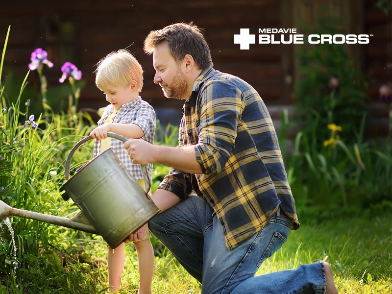 Father and young child watering garden plants and flowers in the spring with a silver watering can